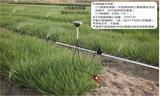單頭有線太陽能土壤濕度控制自動灌溉系統